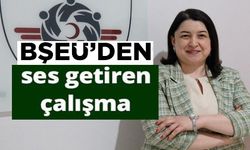 BŞEÜ'DEN HEMŞİRELİK EĞİTİMİNDE ULUSLARARASI ARENADA SES GETİREN ÇALIŞMA