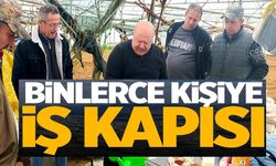 TÜTÜN PAZARYERİ'NİN GEÇİM KAPISI OLUYOR