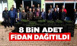 8 BİN ÇİLEK FİDESİ ÜRETİCİYLE BULUŞTU