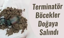 DOĞANIN SESSİZ KAHRAMANLARI GÖREV BAŞINDA