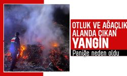 OTLUK ALANDA ÇIKAN YANGIN KORKUTTU