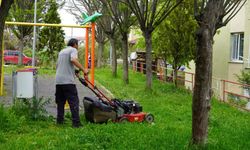 PARK VE BAHÇELER MÜDÜRLÜĞÜNDEN YAZA HAZIRLIK ÇALIŞMALARI
