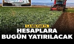 HESAPLARA BUGÜN YATIRILACAK