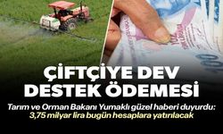 ÇİFTÇİYE DEV DESTEK ÖDEMESİ