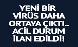 YENİ BİR VİRÜS DAHA ORTAYA ÇIKTI