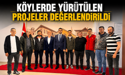 KÖYLERDE YÜRÜTÜLEN PROJELER DEĞERLENDİRİLDİ