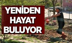 HUZUREVİ'NDE YEŞİL ALANLAR YENİDEN HAYAT BULUYOR