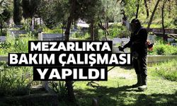 MEZARLIKLARDA BAKIM ÇALIŞMASI