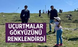 GÖKYÜZÜ UÇURTMALAR İLE RENKLENDİ