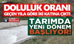 PAZARYERİ TARIMINDA ALTIN DÖNEM BAŞLIYOR