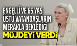 DOLMUŞ ESNAFINA 65 YAŞ ÜSTÜ İLE ENGELLİ VATANDAŞ DESTEĞİ