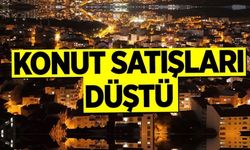 KONUT SATIŞLARI AZALDI