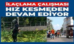 ÇİM BİÇME VE İLAÇLAMA ÇALIŞMALARI HIZ KAZANDI