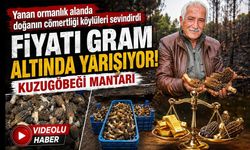 YANAN ORMANLIK ALANDA DOĞANIN CÖMERTLİĞİ KÖYLÜLERİ SEVİNDİRDİ: FİYATI GRAM ALTINDA YARIŞIYOR
