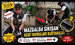 MAZGALDA SIKIŞAN KEDİ YAVRULARI KURTARILDI