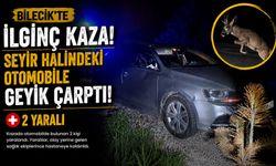 SEYİR HALİNDEKİ OTOMOBİLE GEYİK ÇARPTI: 2 YARALI