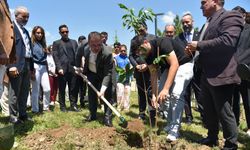 'KAMPÜSÜ AĞAÇLANDIRIYORUZ' SLOGANIYLA FİDANLAR TOPRAKLA BULUŞTU