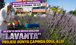 60 ÜLKEDEN 381 PROJE ARASINDA BİLECİK VE İSTANBUL YER ALDI
