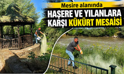 MESİRE ALANINDA HAŞERE VE YILANLARA KARŞI KÜKÜRT MESAİSİ