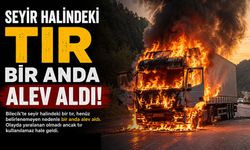 SEYİR HALİNDEKİ TIR BİR ANDA ALEV ALDI