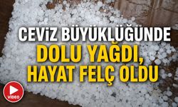 CEVİZ BÜYÜKLÜĞÜNDEKİ DOLU VURDU