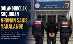 DOLANDIRICILIK SUÇUNDAN ARANAN ŞAHIS YAKALANDI