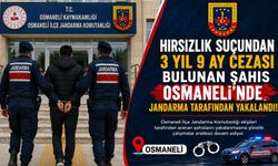 HIRSIZLIK SUÇUNDAN 3 YIL 9 AY CEZASI BULUNAN ŞAHIS YAKALANDI
