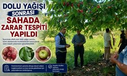 DOLU YAĞIŞI SONRASI SAHADA ZARAR TESPİTİ YAPILDI