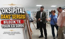 ‘OKSİPİTAL DANS' SERGİSİ BİLECİK'TE YOĞUN İLGİ GÖRDÜ