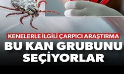 BU KAN GRUBUNU SEÇİYORLAR