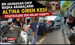 BİR ARABADAN ÇIKIP BAŞKA ARABALARIN ALTINA GİREN KEDİ İTFAİYECİLERE ZOR ANLAR YAŞATTI
