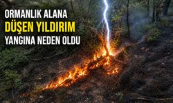 ORMANLIK ALANA DÜŞEN YILDIRIM YANGINA NEDEN OLDU