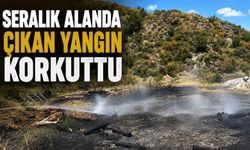 SERALIK ALANDA ÇIKAN YANGIN KORKUTTU