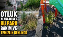OTLUK ALANA DÖNEN BU PARK BAKIM VE TEMİZLİK BEKLİYOR