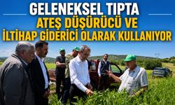 PELEMİR TARLALARI İNCELENDİ