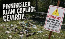PİKNİKÇİLER ALANI ÇÖPLÜĞE ÇEVİRDİ: DOĞA VE KAMU MALI ZARAR GÖRDÜ