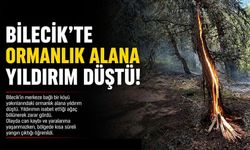 ORMANLIK ALANA YILDIRIM DÜŞTÜ
