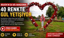 BİLECİK'İN İLK GÜL BAHÇESİNDE 40 RENKTE GÜL YETİŞİYOR