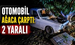 OTOMOBİL AĞACA ÇARPTI: 2 YARALI