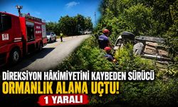 SÜRÜCÜ ORMANLIK ALANA UÇTU: 1 YARALI