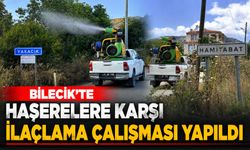 HAŞERELERE KARŞI İLAÇLAMA ÇALIŞMASI YAPILDI