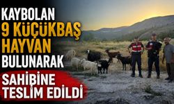 KAYBOLAN 9 KÜÇÜKBAŞ HAYVAN BULUNARAK SAHİBİNE TESLİM EDİLDİ