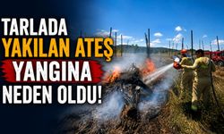 TARLADA YAKILAN ATEŞ YANGINA NEDEN OLDU