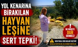 BAŞKAN TEKİN'DEN YOL KENARINA BIRAKILAN HAYVAN LEŞİNE SERT TEPKİ