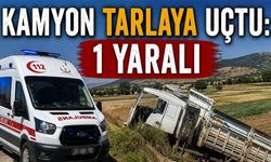 KAMYON TARLAYA UÇTU: 1 YARALI