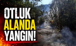 OTLUK ALANDA YANGIN ÇIKTI