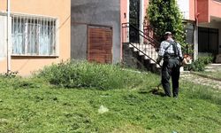 SÖĞÜT'TE ÇİM BİÇME VE İLAÇLAMA ÇALIŞMALARI ARALIKSIZ DEVAM EDİYOR