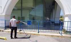 BİLECİK BELEDİYESİ'NDEN ÇEKİRGELERE KARŞI ERKEN ÖNLEM