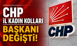 CHP BİLECİK İL KADIN KOLLARI BAŞKANI DEĞİŞTİ