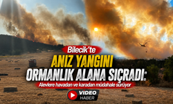 BİLECİK’TE ANIZ YANGINI ORMANLIK ALANA SIÇRADI: ALEVLERE HAVADAN VE KARADAN MÜDAHALE SÜRÜYOR
